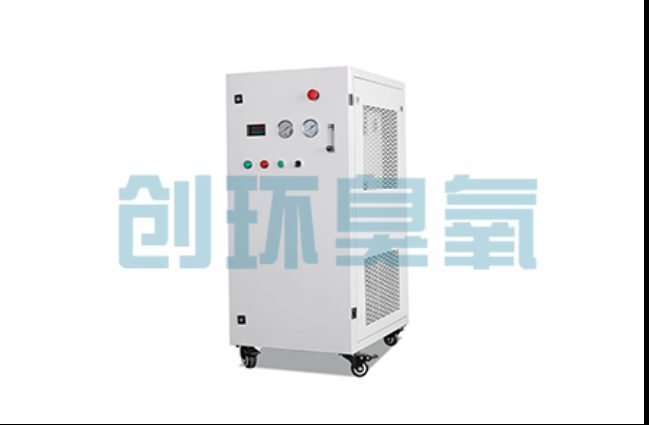 滨海工厂化养鲈必看：2026年臭氧发生器替代传统消毒的最新方案