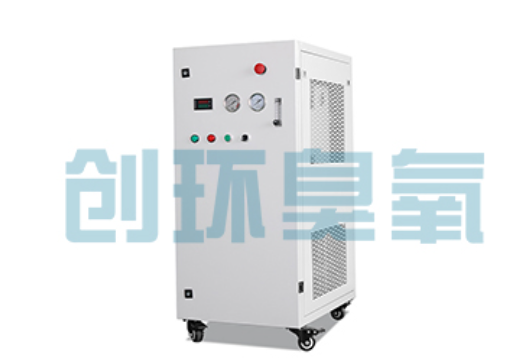 滨海石斑鱼养殖水质调控完整指南：臭氧发生器配置与操作步骤
