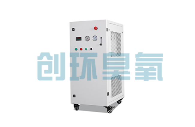 滨海比传统换水更高效？臭氧发生器在石斑鱼养殖中的水质净化原理解析